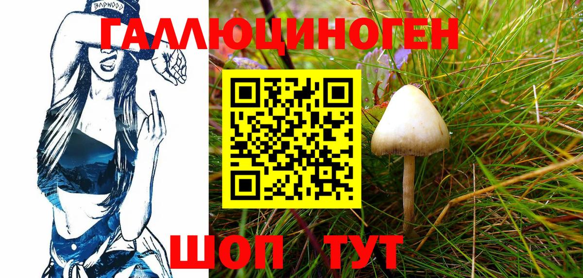 Псилоцибиновые грибы GOLDEN TEACHER Заводоуковск