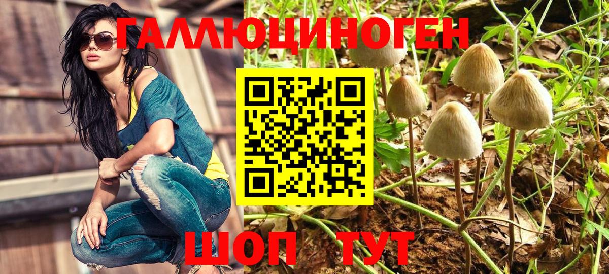 Псилоцибиновые грибы Psilocybe  Вход с VPN  Псилоцибиновые грибы ЛСД  Заводоуковск 